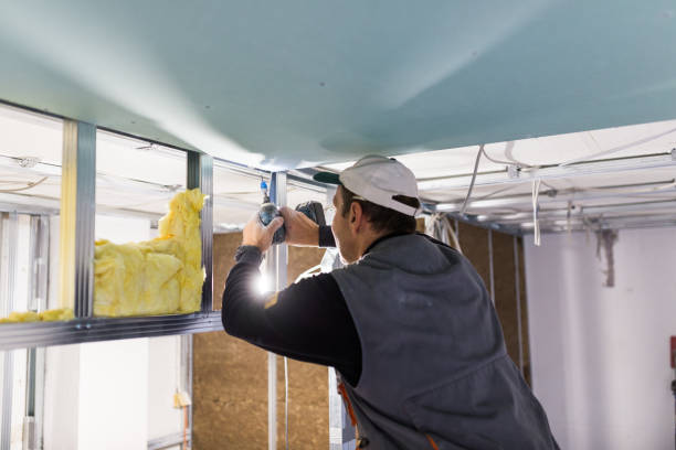 Best Spray Foam Insulation  in Wolf Trap, VA