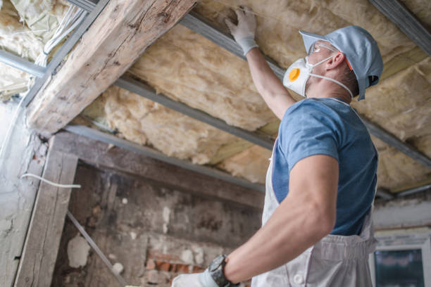 Best Best Insulation Companies  in Wolf Trap, VA