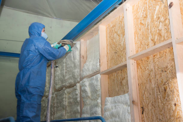 Best Home Insulation Services  in Wolf Trap, VA